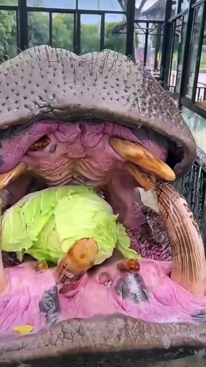 Food Frenzy Hippos' Delightful Encounter with Abundant Feasts (2)