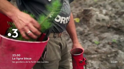 Les gardiens de la forêt des Landes - 5 juin