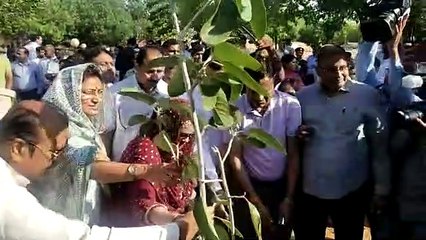 Plantation Drive- इंडस्ट्रीज को सीटीपी प्लांट और ग्रीन बेल्ट लगाना होगा अनिवार्य- रावत