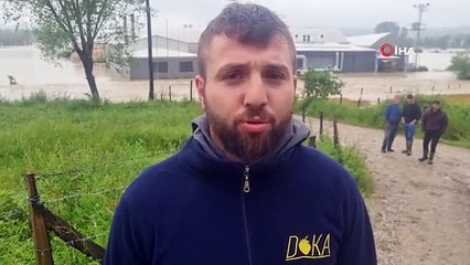 Sinop'ta sel çeltik tarlalarını ve seraları vurdu
