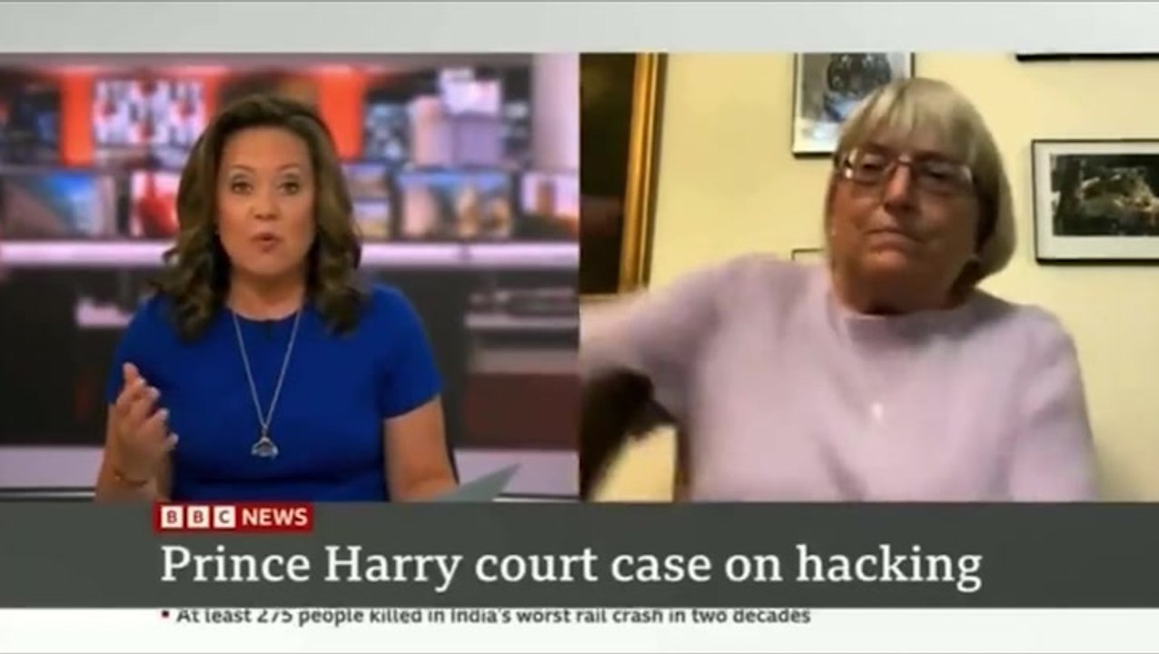 Watch: Cat interrupts live BBC interview by jumping on guest’s lap