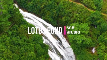 Lotus Pond - Aakash Gandhi  Ambient Music, Dramatic Music, Sad Music, Indian Music