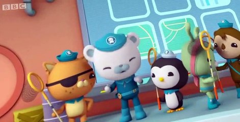 The Octonauts The Octonauts S02 E018 – The Leafy Sea Dragons