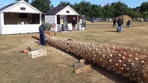 Le brandon, tradition des Pyrénées pour les feux de la Saint-Jean