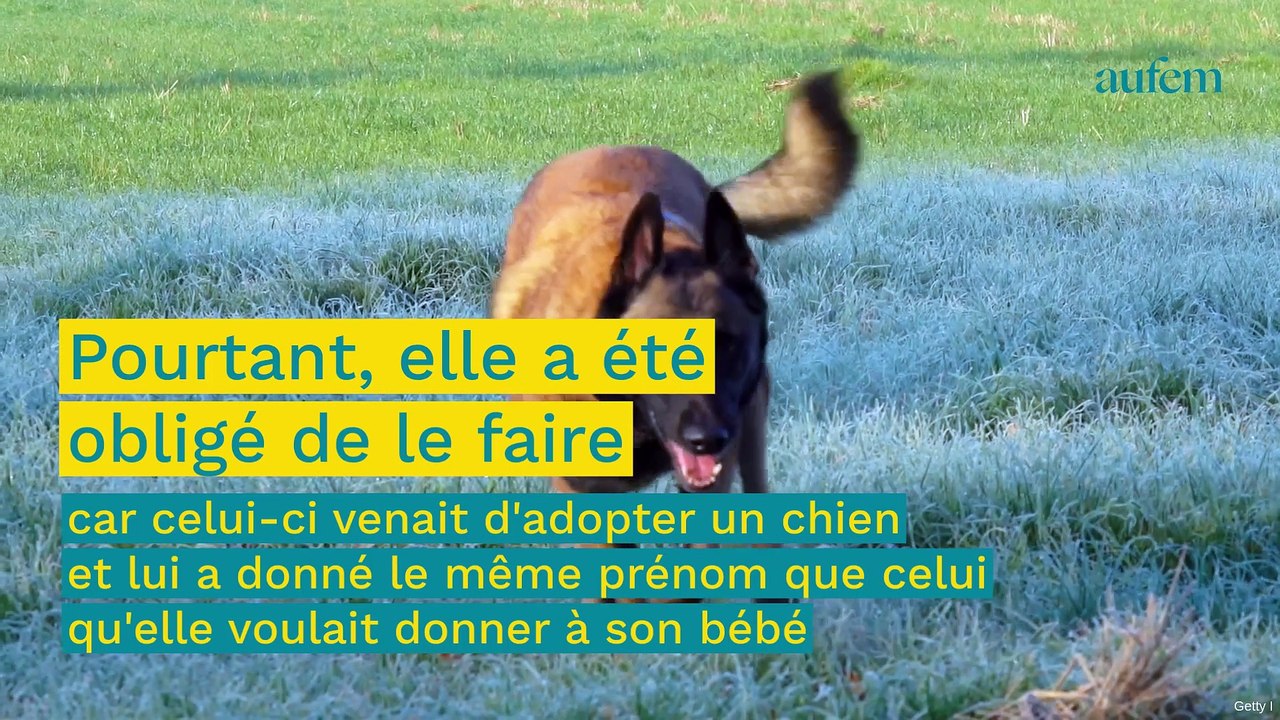 Sa soeur lui ordonne de changer le prénom de son chien… c’est celui qu’elle veut donner à son bébé