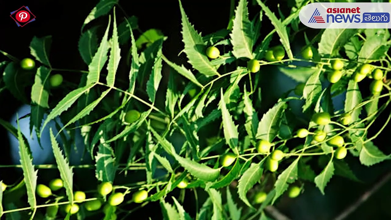 మచ్చ లేని అందం కోసం అమ్మమ్మల చిట్కాలు...