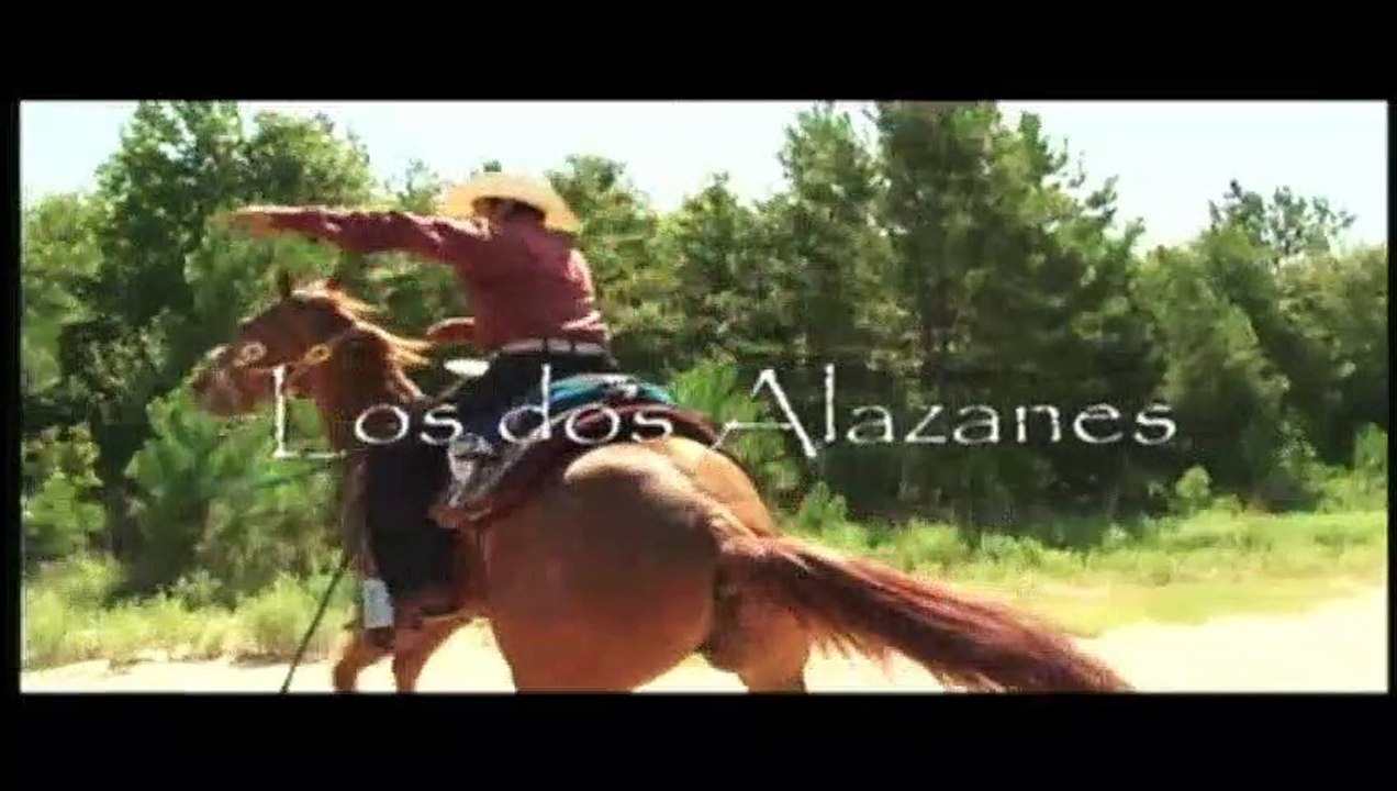 Inicio El Primer Bazukazo Pirata DVD