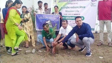 पत्रिका अभियान के तहत एबीयू में पौधरोपण