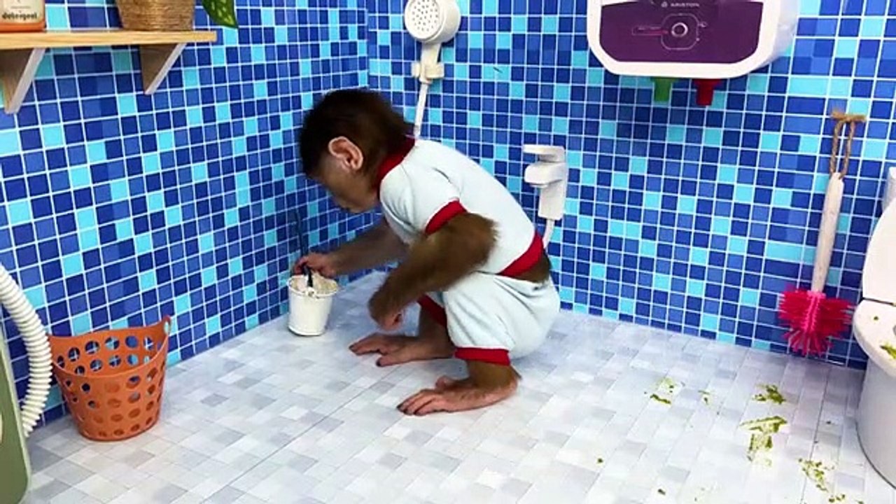 Baby_Monkey_cleaning_the_toilet_Pin_Pin_and_go_shopping_kinder_joy_eggs_with_the_duckling(360p)