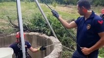 Kuyuya düşen kedinin imdadına itfaiye yetişti