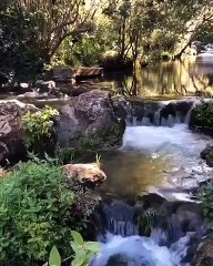 Nature in Akchour Chefchaouen morocco