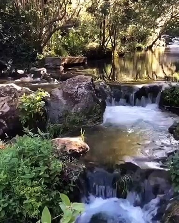 Nature in Akchour Chefchaouen morocco