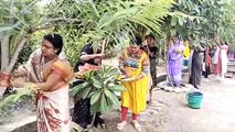 पर्यावरण दिवस पर महिलाओं ने पेड़ों को बांधा रक्षासूत्र