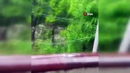 Alaca'da sağanak yağış su taşkınlarına yol açtı