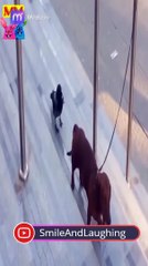 تحديات الضحك اكتشف أكثر التحديات المضحكة والمسلية التي ستجعلك تضحك بصوت عالٍ!