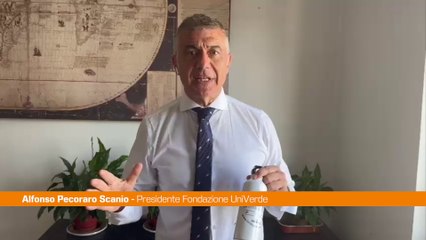 Pecoraro Scanio "Le plastiche sono i killer del mare"