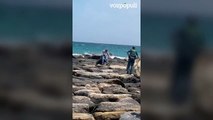La Guardia Civil abate a un jabalí que hirió a dos personas en la playa de El Campello