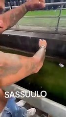 Un supporter de la Fiorentina pêche un poisson en plein match