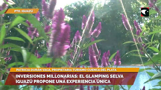 Dos millonarias inversiones a punto de inaugurarse en Puerto Iguazú que apuestan al turismo sustentable Glamping Selva Iguazú y El Mercado de la Selva