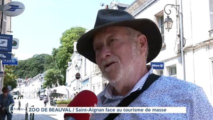 ZOO DE BEAUVAL / Saint-Aignan face au tourisme de masse