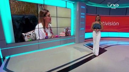 Caso Lineth Chama: Detención preventiva para "Bichito"