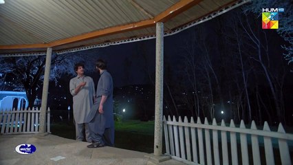 Kainat Ka Haseen Tohfa !! #mawrahocane #arslannaseer #syedjibran - Neem