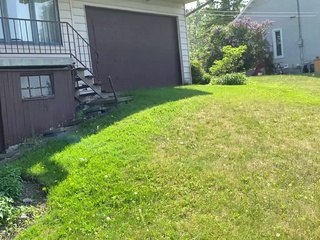 La carcasse d'un chevreuil décédé est visible de la rive sur le boulevard Bord-de-l'Eau à Salaberry-de-Valleyfield