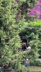 Nay Salvatori enfrenta a Marie Claire Harp en un tenso enfrentamiento en las Lomas 🎤