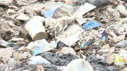 Journée mondiale de l'environnement 2023 :  lutte contre la pollution plastique"
