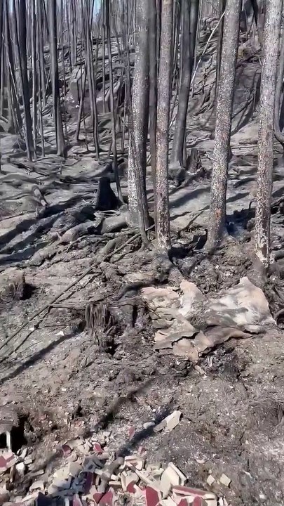 Feu de forêt - chalet détruit