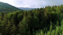 EARTH 4K - Relaxation Film - Peaceful Relaxing Music - Nature 4k Video UltraHD - OUR PLANET