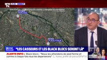 Laurent Nunez à propos des black blocs: 
