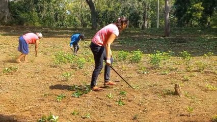 Productores en Carazo se preparan para el ciclo de primera 2023