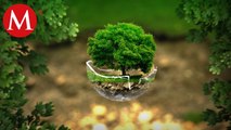 Día Mundial del Medio Ambiente; en busca de crear conciencia sobre problemas ambientales