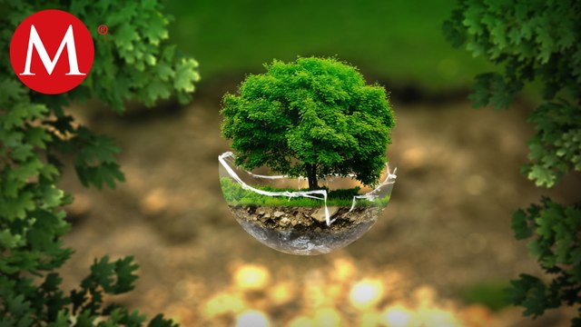 Día Mundial del Medio Ambiente; en busca de crear conciencia sobre problemas ambientales