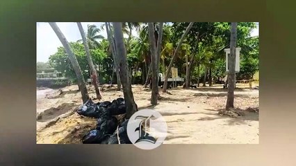 Continúan trabajos de limpieza en la playa de Montesinos
