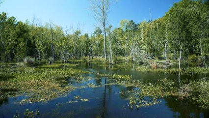 Why Ejection from the Game Highlights the Importance of Life Jackets 🎣