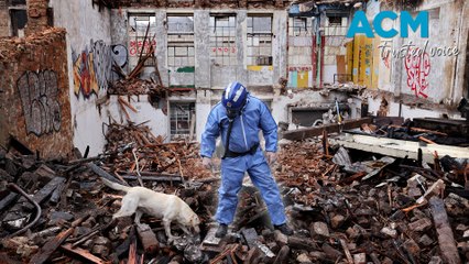 Surry Hills fire: Cadaver dogs sent in to search rubble