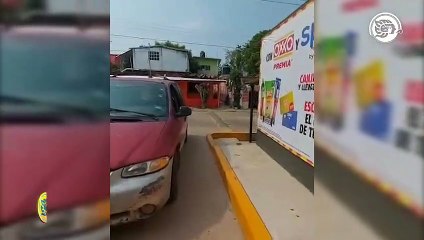 Indignación por abandono de canino en calles de Cosoleacaque