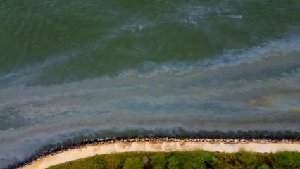 Organización ambientalista alerta por una mancha kilométrica de petróleo en el mayor lago de Venezuela