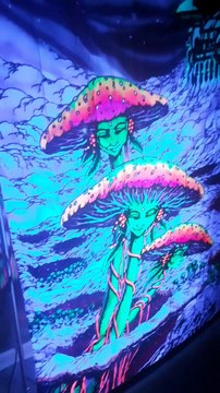 Le Son, le Visuel, cela suffit à s'evader.6 lettres pour ma date, normal. Mensonge par la suite, j'ai bien suée avant. Dès Mélusine après 14H de route. Tout juste arrivée sur son Set. Sur la Suite et surtout lors de ramassage à la pince. Respect Cheval.