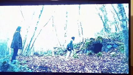 From S02E08 Forest for the Trees