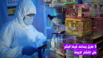 كيف يساعد البشر على انتشار الأوبئة؟