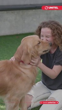 Sabias que, un reciente estudio señaló que los perros que nacen con bajo peso, ¿tienen más riesgo de sufrir obesidad?