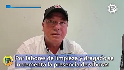 Por labores de limpieza y dragado en Nanchital se incrementa la presencia de víboras en la zona, ¡Clínicas se preparan con antídoto!
