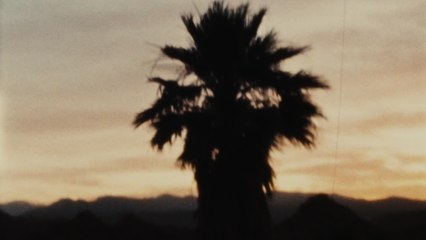 Niall Horan - You Could Start A Cult (Visualizer)