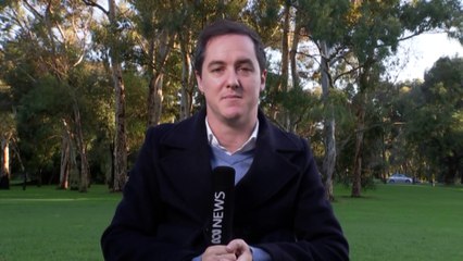 Majority of South Australians support duck hunting ban