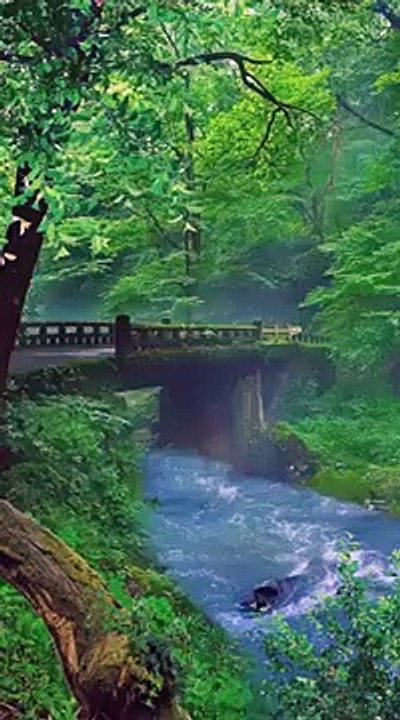 Beauty of Nature