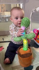 6-Month-Old and the Mimicking Cactus
