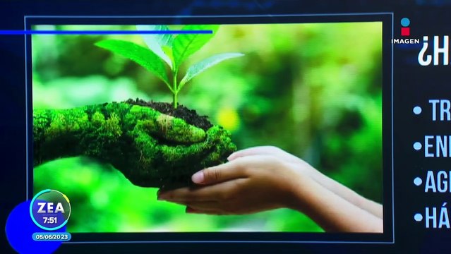 Desechos plásticos en el mundo, ¿cómo darle vuelta a este futuro apocalíptico?